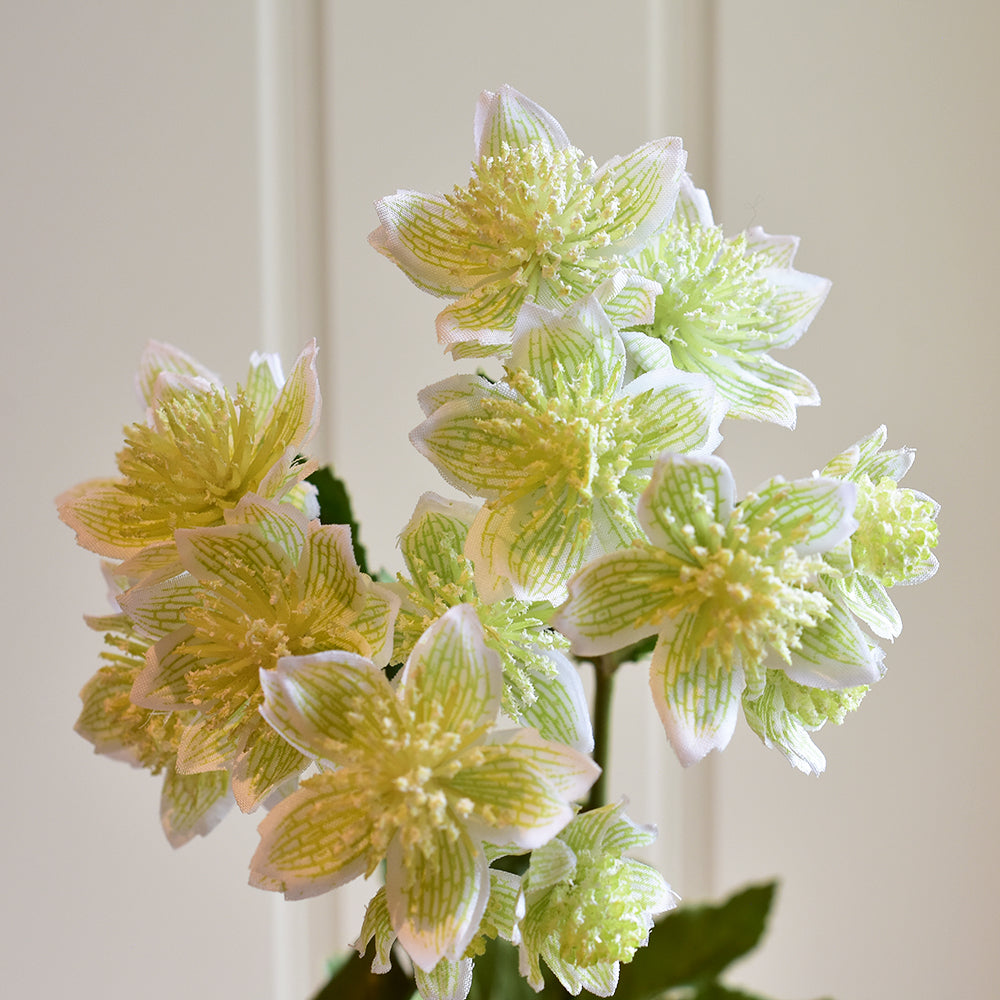 Astrantia Faux Spray - Apple White