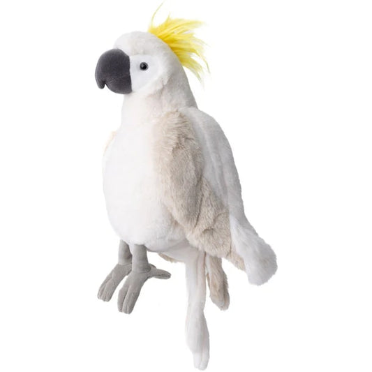 Bukowski - Mango Parrot
