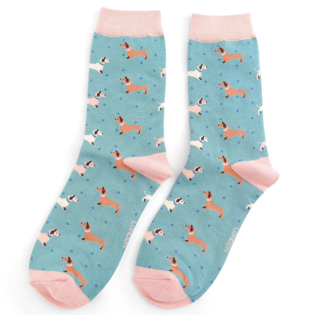 Miss Sparrow - Sausage Dogs & Spots Socks - Duck Egg