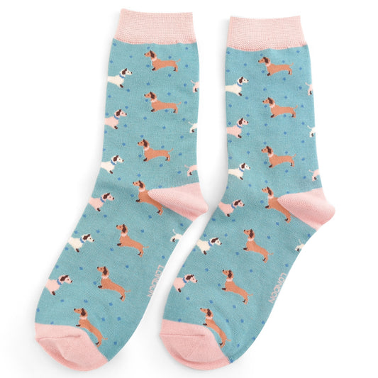 Miss Sparrow - Sausage Dogs & Spots Socks - Duck Egg