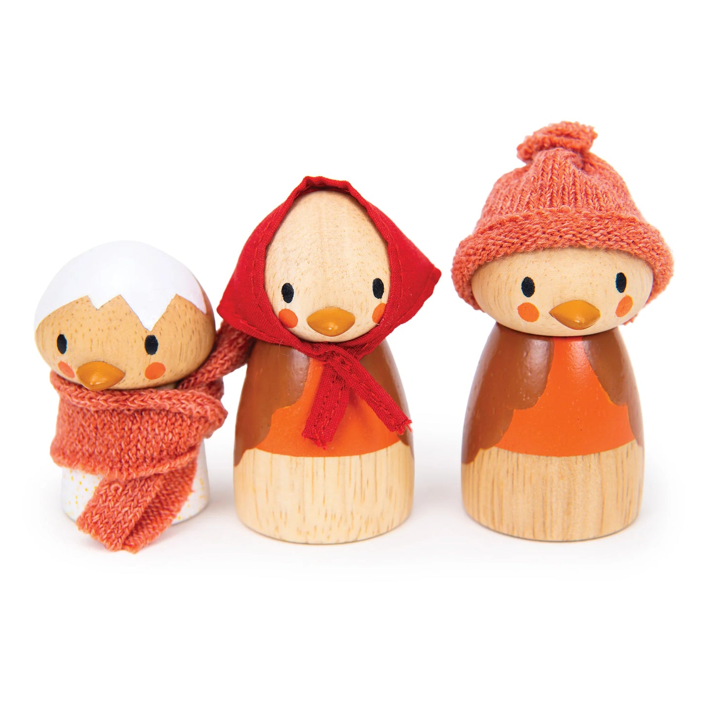 Tender Leaf Toys - Robins Nest Box