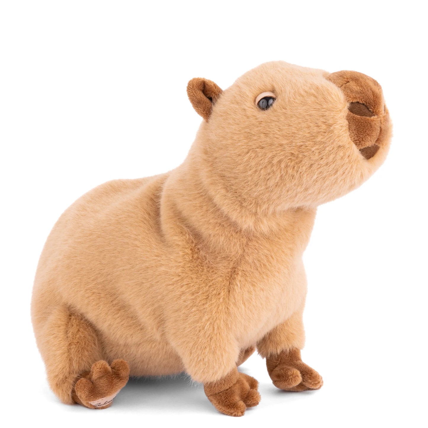 Bukowski Bears - Theo Capybara