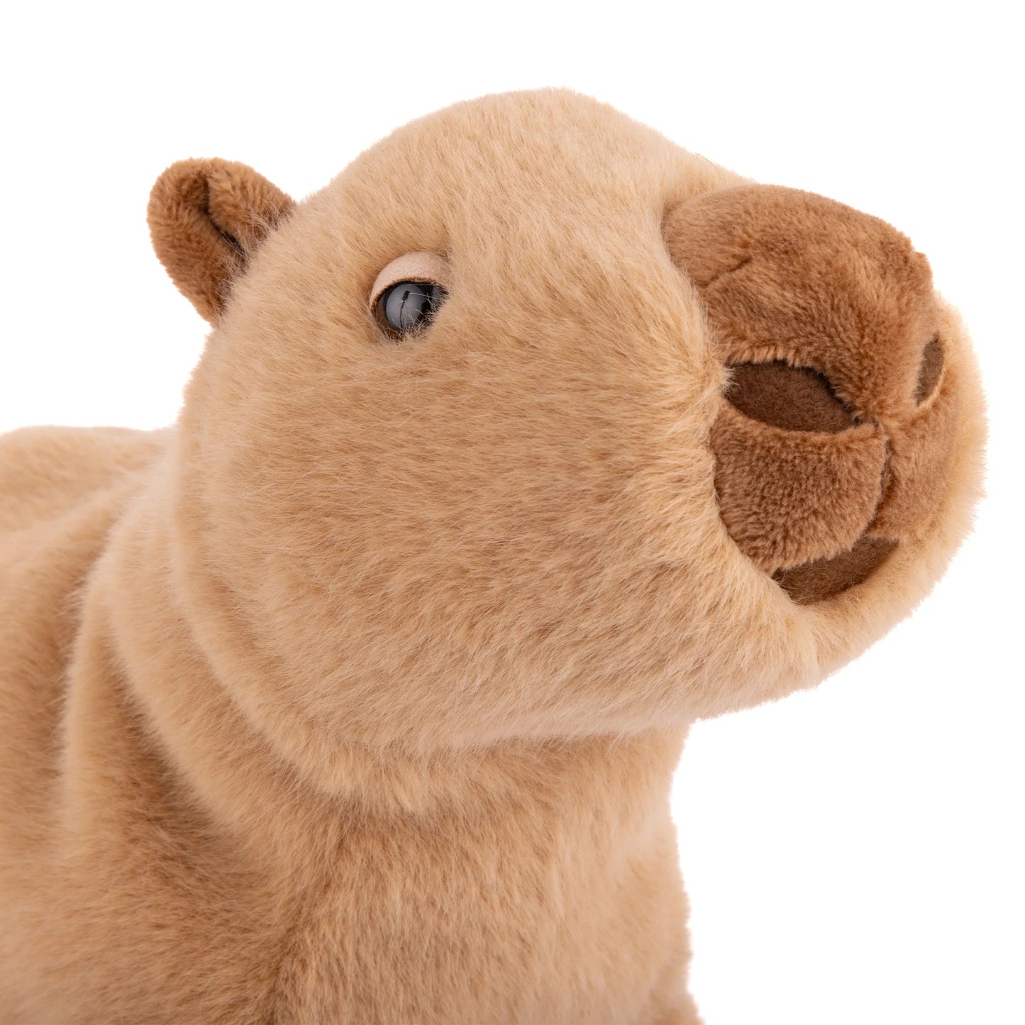 Bukowski Bears - Theo Capybara