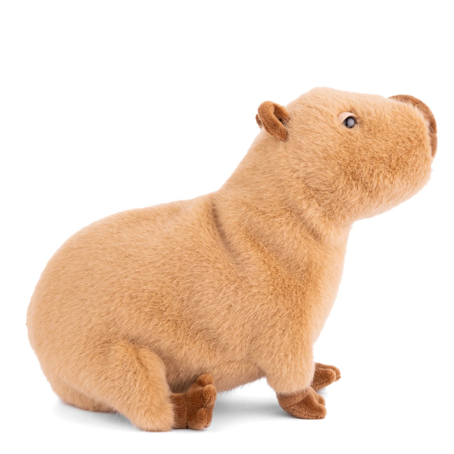 Bukowski Bears - Theo Capybara