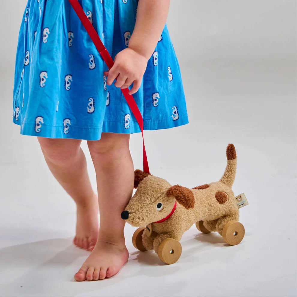 Threadbear - Dudley Pull Along Dog
