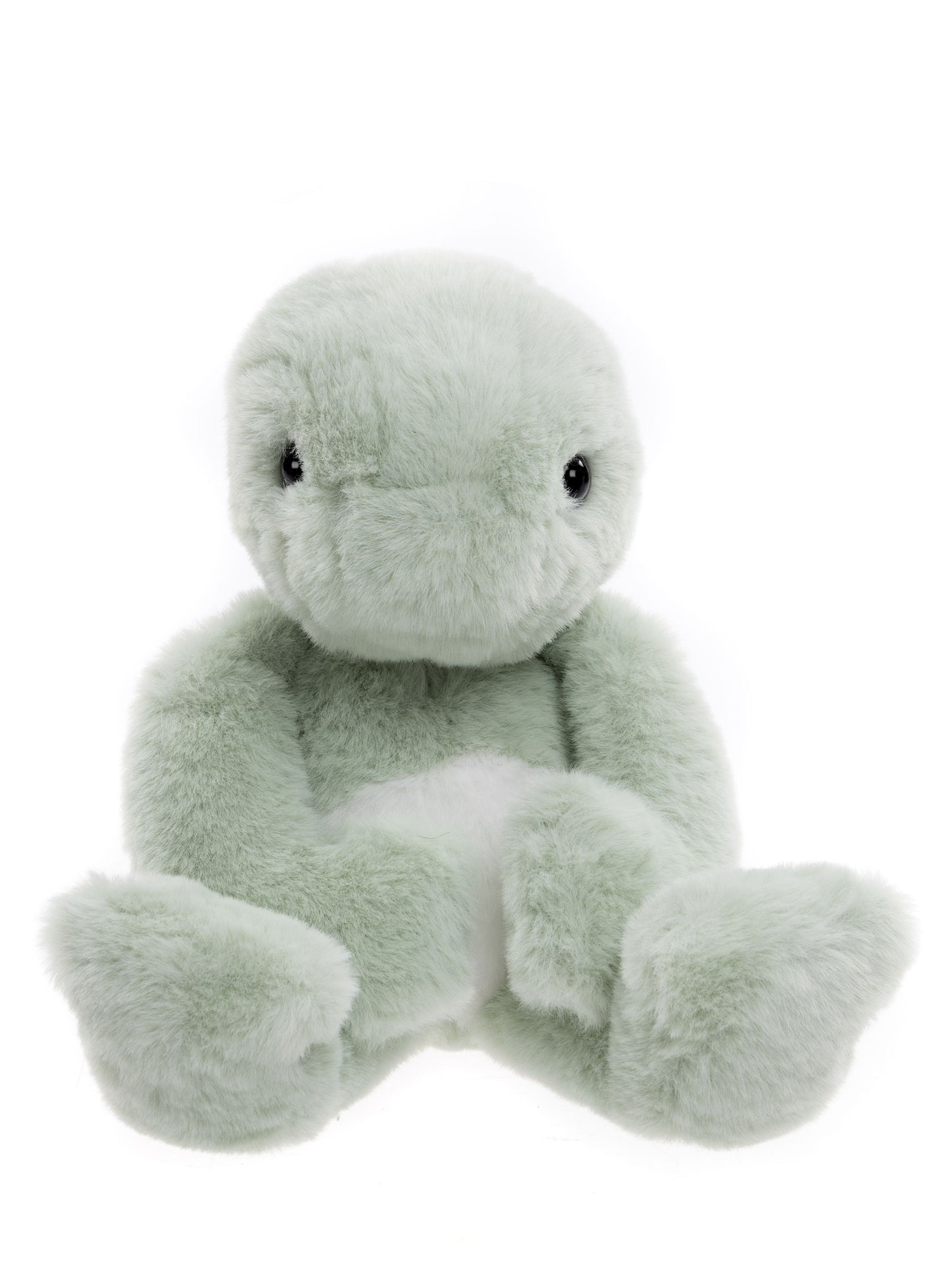 Charlie Bears - Bear & Me Timmy Tortoise Peppermint Green