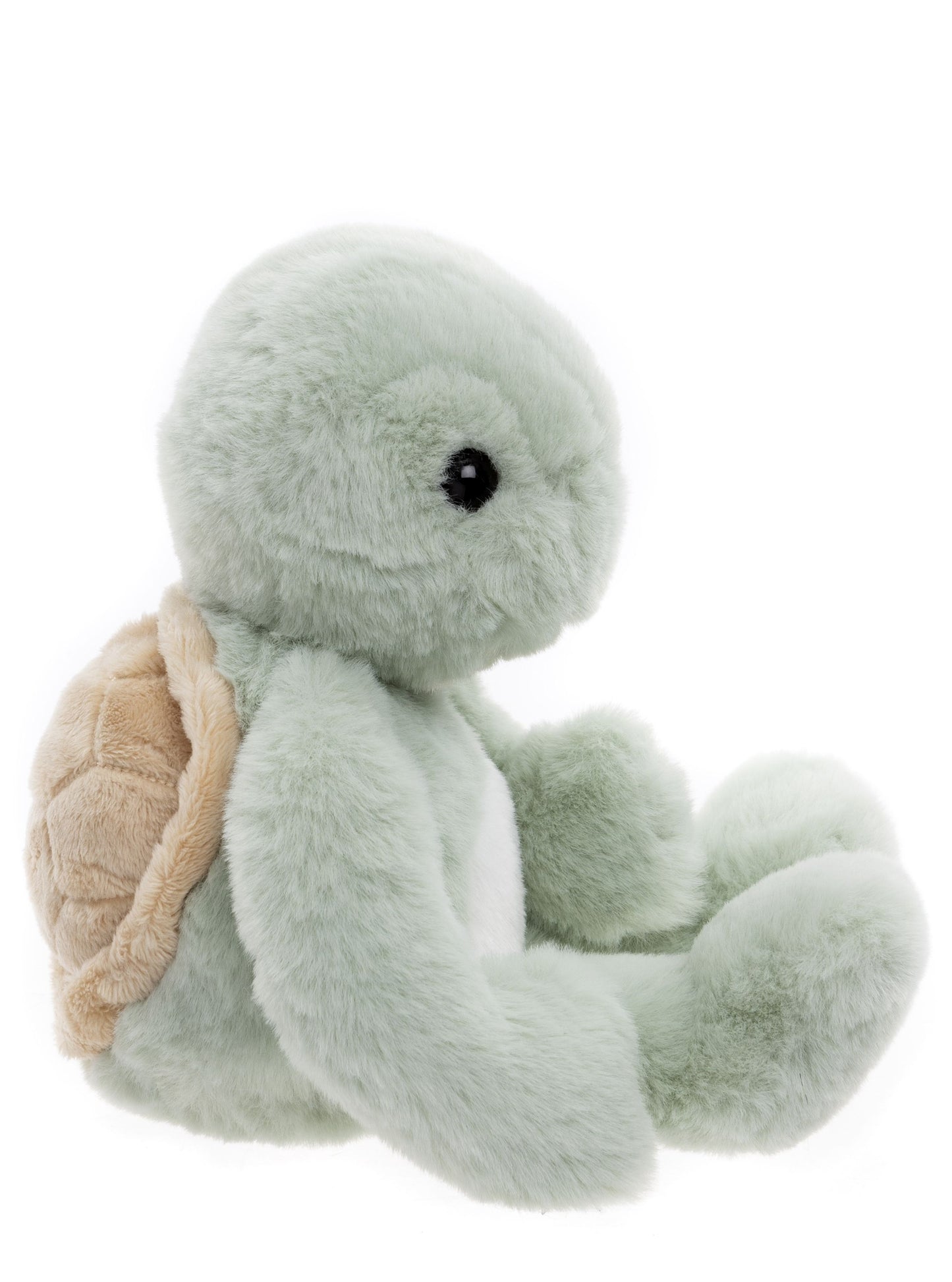 Charlie Bears - Bear & Me Timmy Tortoise Peppermint Green