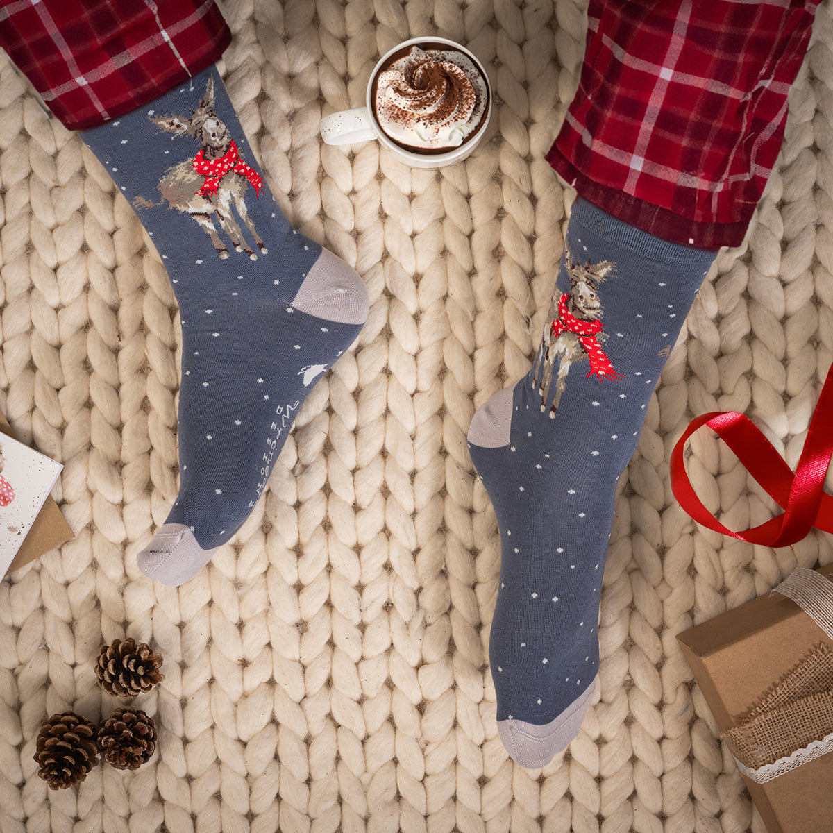 Wrendale Designs - 'All Wrapped Up' Donkey Men's Socks