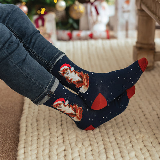 Wrendale Designs - 'Festive Fox' Fox Men's Socks