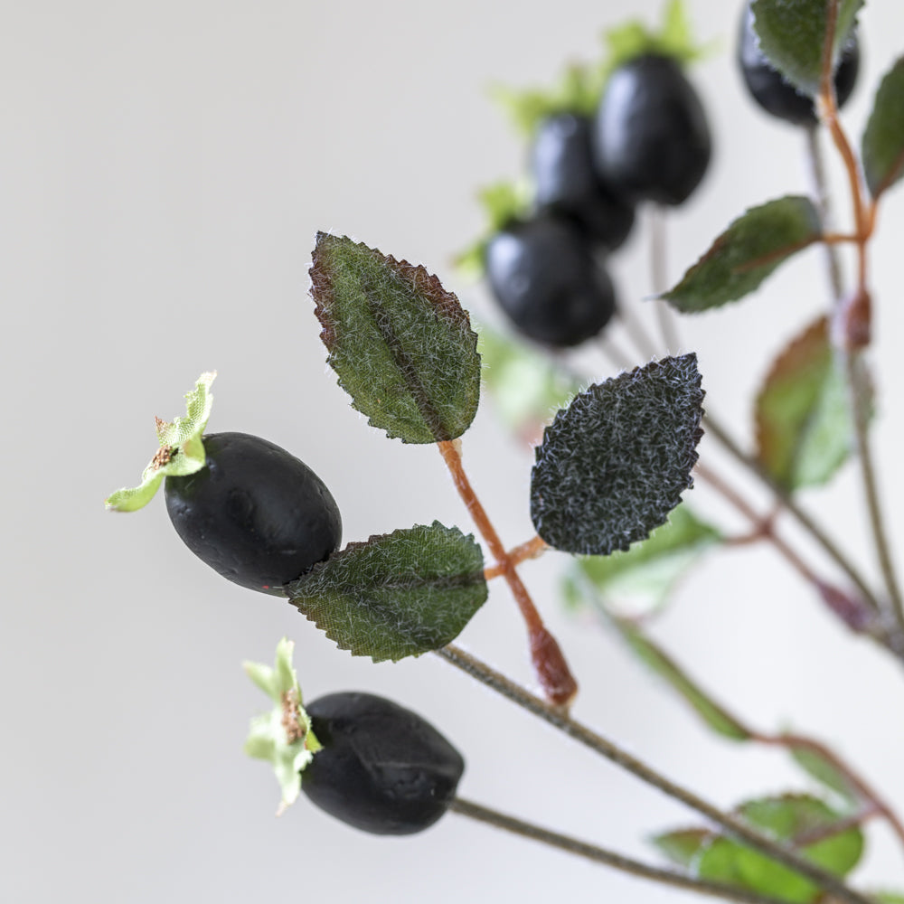 Rose Hips Black Faux Stem
