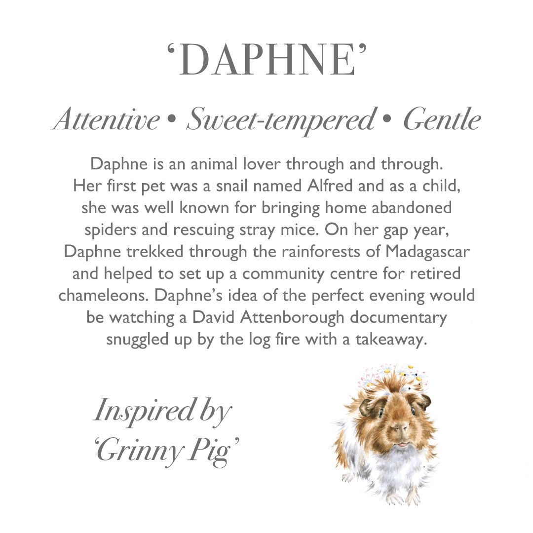 Wrendale Designs - 'Daphne' Guinea Pig - Soft Plush Character - Regular