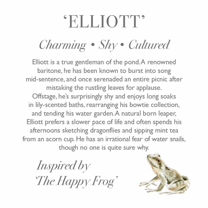 Wrendale Designs - 'Elliott' Frog Soft Plush Character - Junior