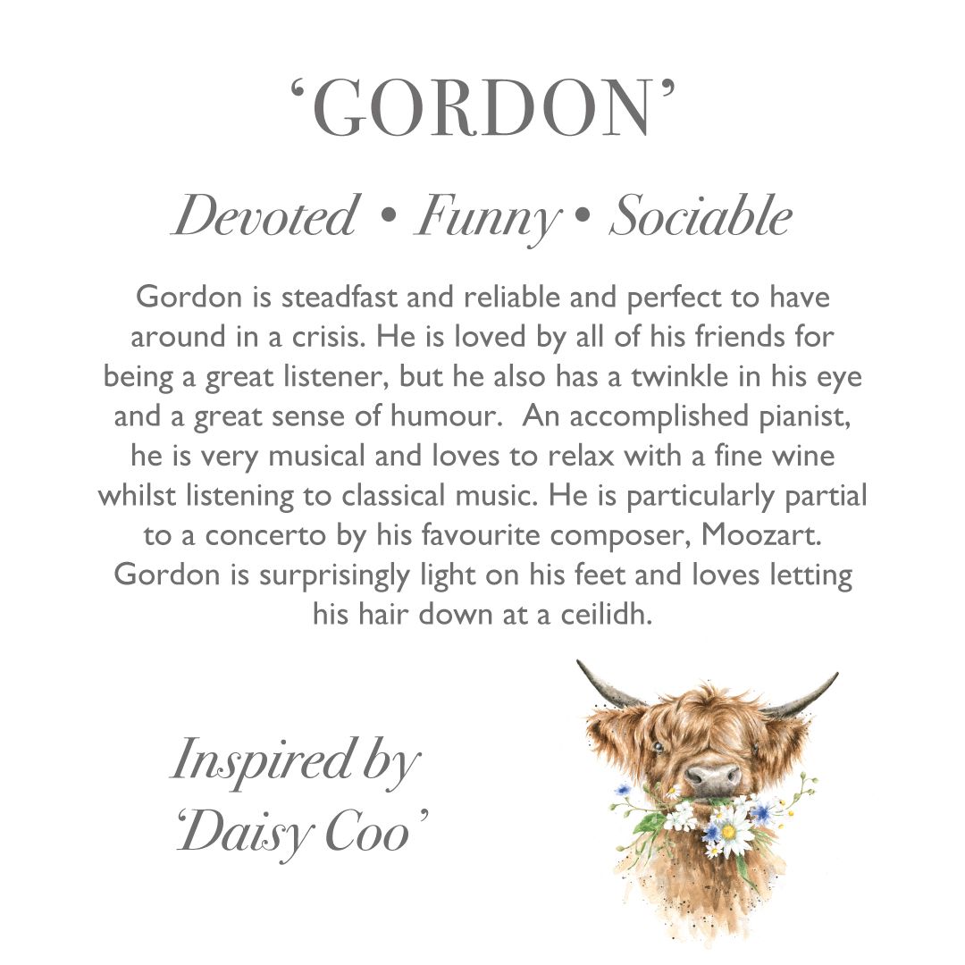 Wrendale Designs - 'Gordon' Highland Cow - Soft Plush Character - Junior