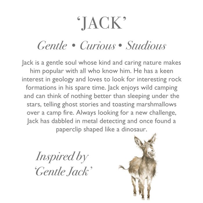 Wrendale Designs - Jack Donkey Soft Plush Character - Junior