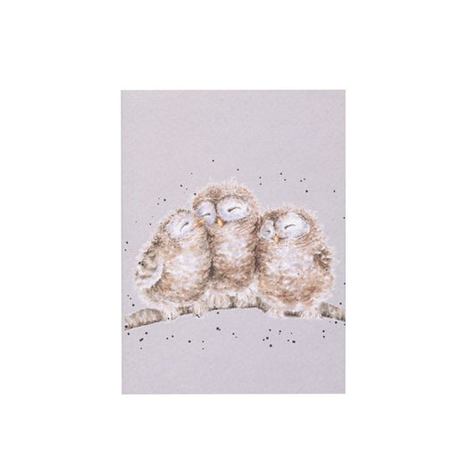 Wrendale Designs - 'Owlets' Owl A6 Notebook