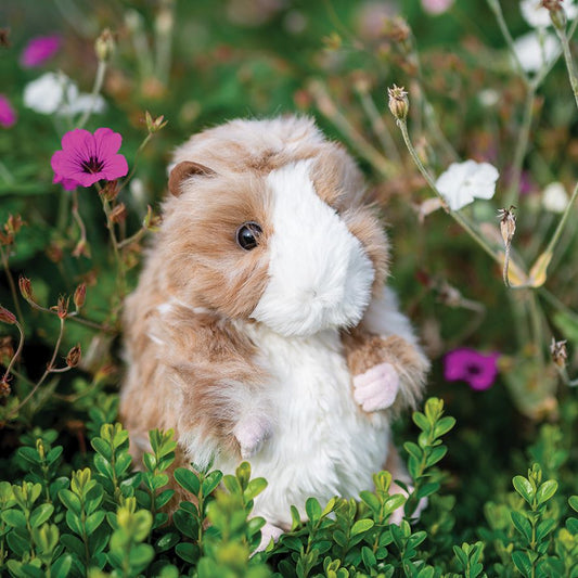 Wrendale Designs - 'Daphne' Guinea Pig - Soft Plush Character - Regular