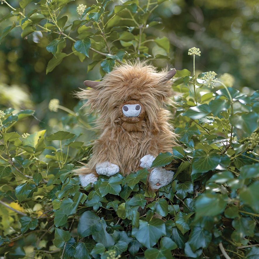 Wrendale Designs - 'Gordon' Highland Cow - Soft Plush Character - Junior