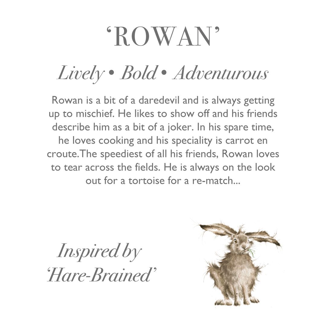 Wrendale Designs -  'Rowan' Hare - Soft Plush Character - Junior