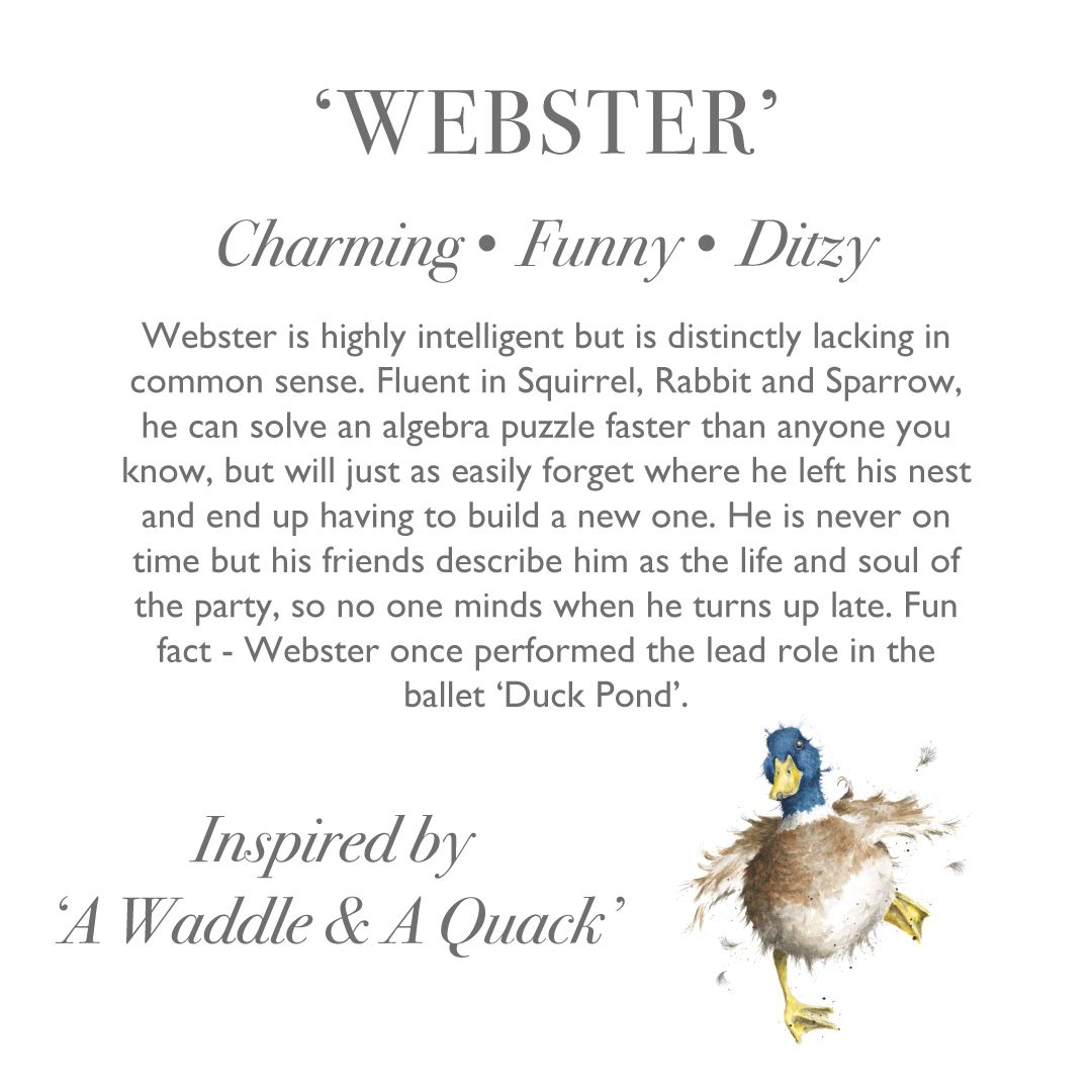 Wrendale Designs - 'Webster' Duck - Soft Plush Character - Regular